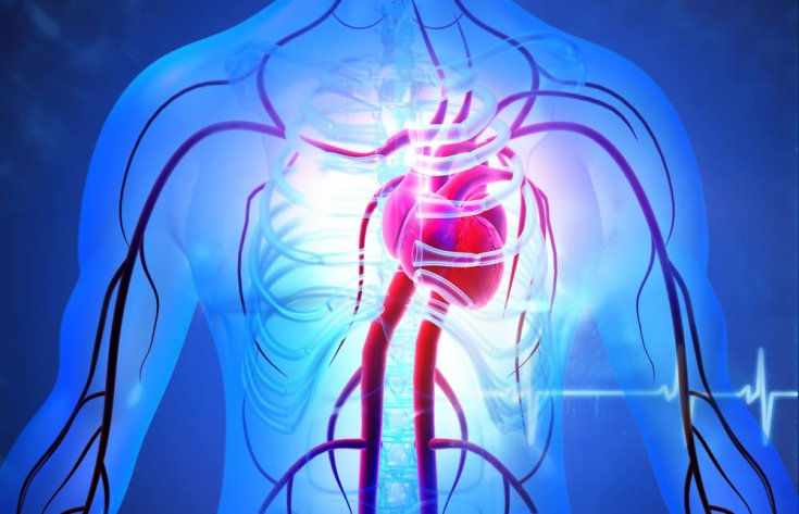 How to Treat Coronary Artery Disease