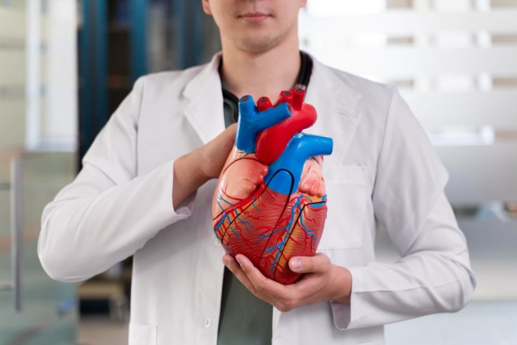 Young Adults and Heart Disease Risk