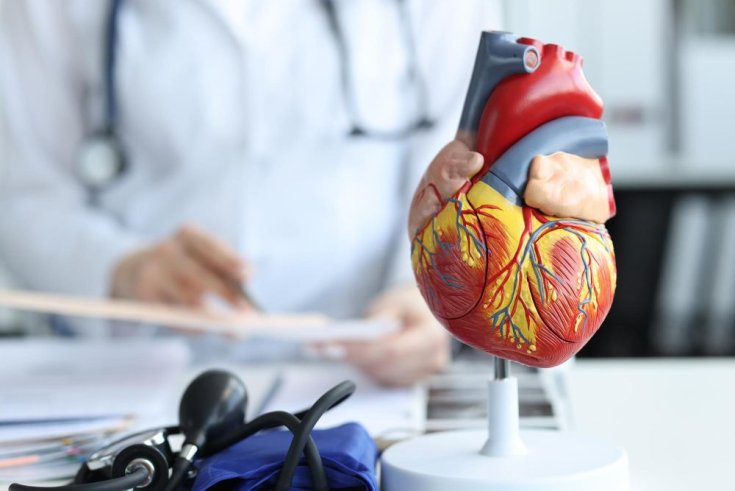 Understanding Your Heart Disease Risk